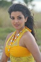 Kajal Stills in Businessman